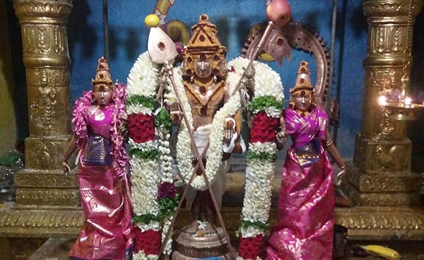 Lord Murugan of Palayamkottai Sivan temple, wearing a white and red flower garland, carries a silver flag and vel. He is flanked by his consorts Valli and Deivanai who are wearing pink silk attires.