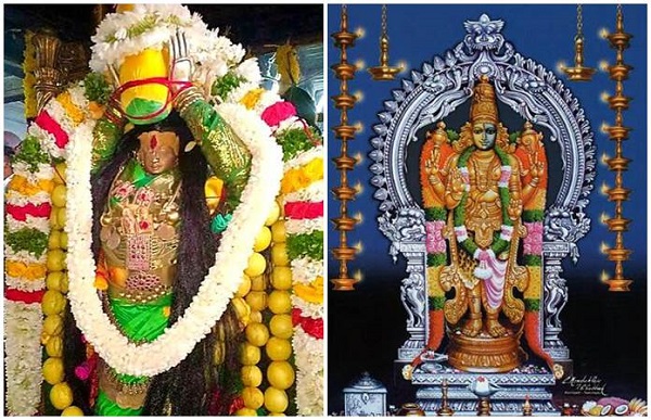 Two frames of deities in the Arulmigu Sankarankovil gomathi amman kovil swamy is being decorated for car festival.