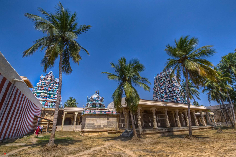 A beautiful view of Srivaikundam temple Gopurams with coconut trees around swaying in the wind