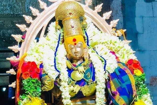 The divine consort Gomathi Amman bedecked in a blue-checked saree with a yellow border, gold crown, mangalsutra, and is wearing jasmine and rose garlands.