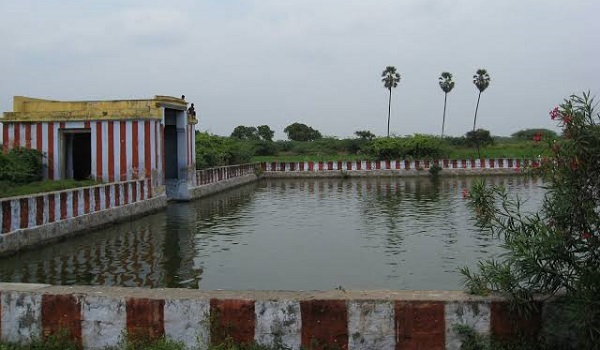 A beautiful view of thirupulingudi temple theppam surrounded by greenary