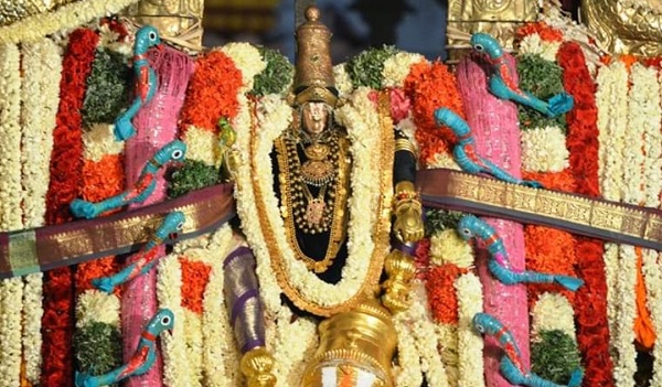 Thirutholaivillimangalam Srinivasa temple Vadakku kovil urshavar decked up with accessories and ornaments.