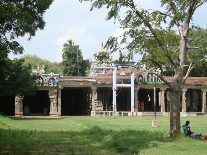 Front view of Tenkasi Kasi Viswanathar temple features the Gopuram along with the corridors holding stone pillars. Temple is surrounded by tress and grasses.