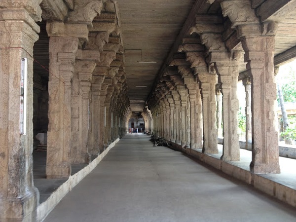 The lengthy corridors of the Nellaiappar temple featuring majestic stone pillars and a stone ceiling. 
