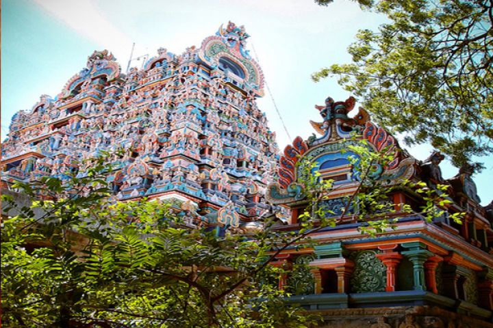 "With a backdrop of trees and a clear blue sky, this colourful temple gopuram stands out. "