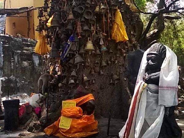 Sangili boothathaar sannathi with numerous bells tied to a tree.