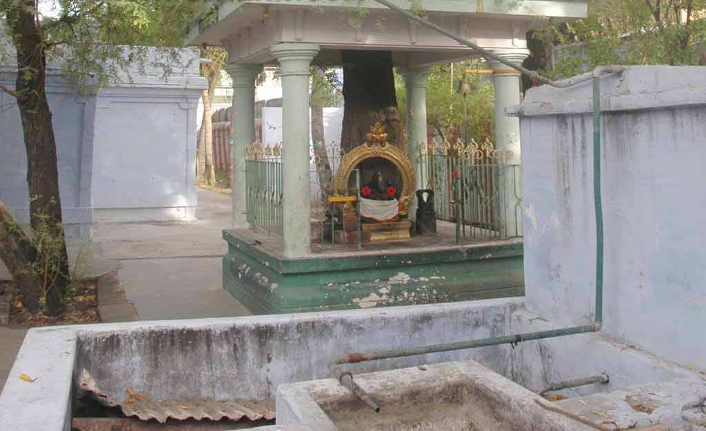 Inner view of thondarkal nainar sannathi.