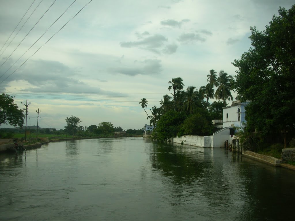 View of Tamiraparani river flowing at a place in the Tirunelveli district which is surrounded by trees on both the sides of the river bank.