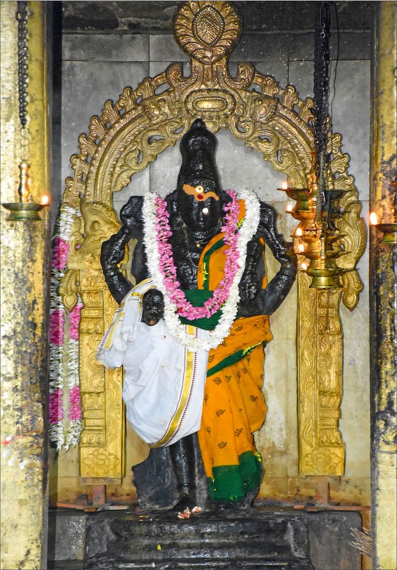 Vasudevanallur Chinthamaninatha Swamy Temple in Tirunelveli 