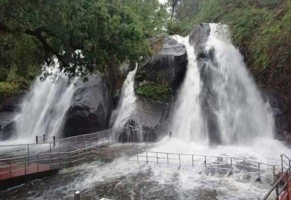 Kutralam aruvi with good amount of waterfall