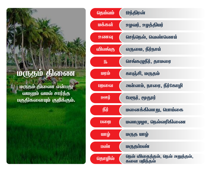 Image of paddy fields that describes Marutha nilam - one of the nilam in Inthinai vagaigal and its exclusive details.