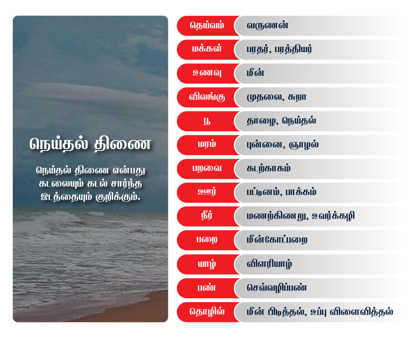 Image of sea view that describes Neithal nilam - one of the Ivagai Nilangal and its exclusive details.