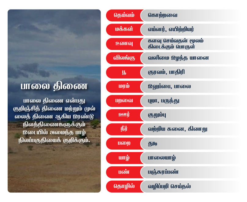 Image of dessert area that describes Paalai nilam - exclusive details of this part of ivagai nilangal in Tamil