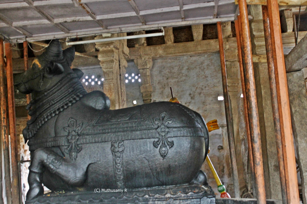 Side image of a black nandi statue.