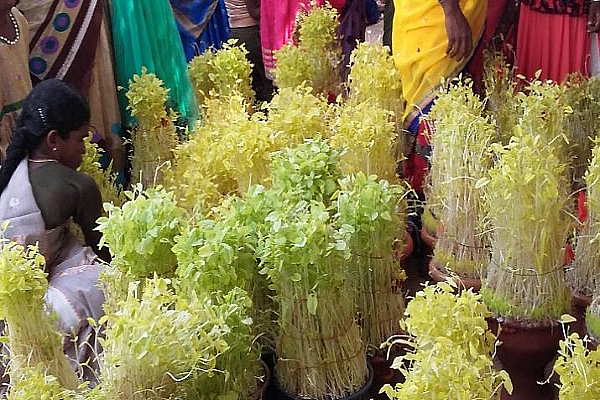 A woman is arranging sprouts for a temple festival and gearing up for the sacred aadi month event.