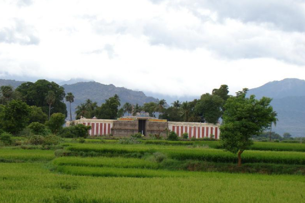A hindu temple amidst greenery with the sacred red and white vertical lined compound wall.